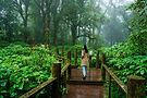 _A655503--2.jpg