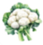 cauli.jpg