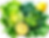 crop1.png