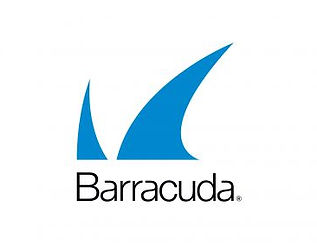 Barracuda Logo