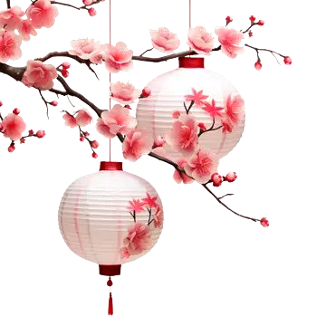 plum blossoms_edited.png