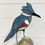 Thumbnail: Stained Glass Kingfisher Sculpture on Driftwood
