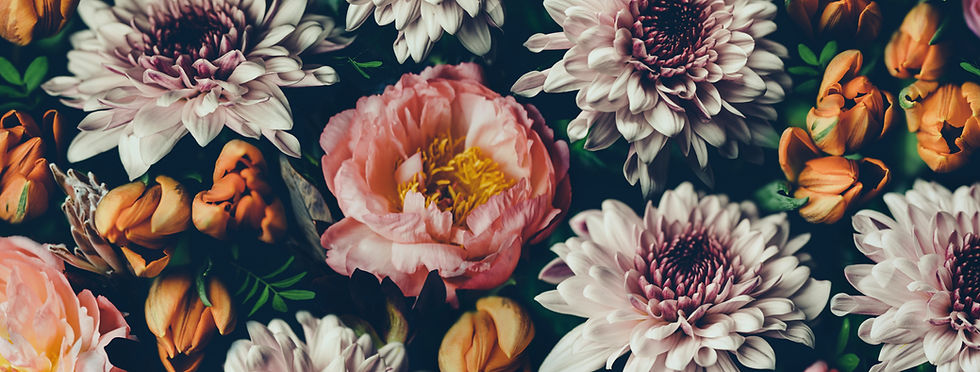 AdobeStock_306532845_edited.jpg
