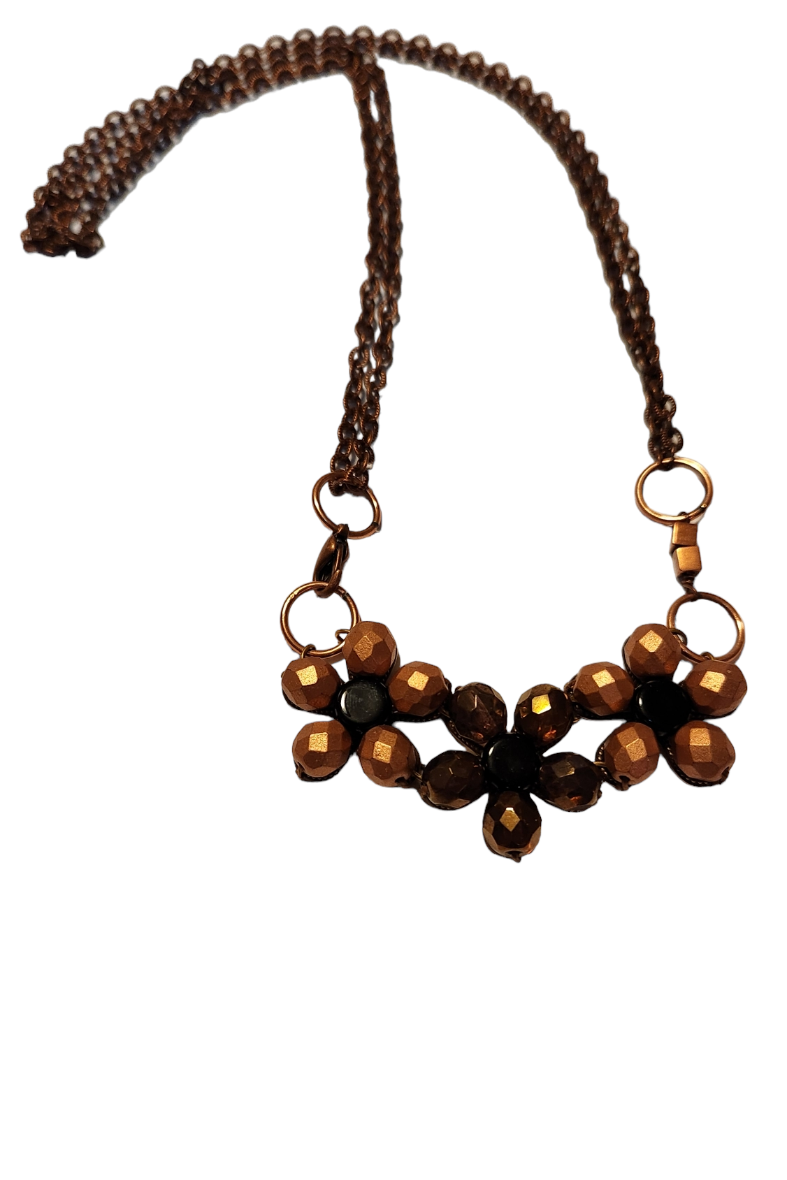 Indian Paradise Flycatcher