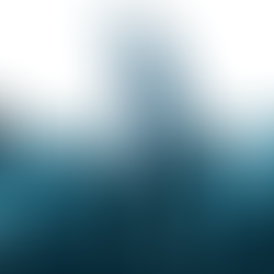 🗳️ आपका विधायक या सांसद कैसा हो? — एक आदर्श जनप्रतिनिधि की पहचान