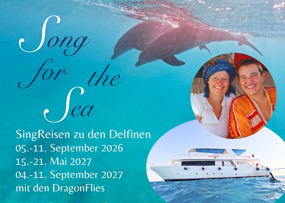 DelfinReise (150 x 107 mm).png