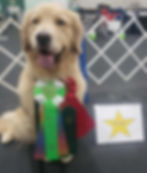 att.JKLpaJ6KAiNhNK85KTjahwOVZPFC8oLpstru8WyvSS0