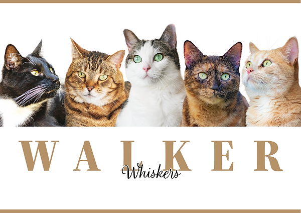Walker Whiskers Simple 15.9mb.png