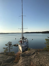 703E5373-3D73-46BB-B183-E35163EA9AC5.jpeg