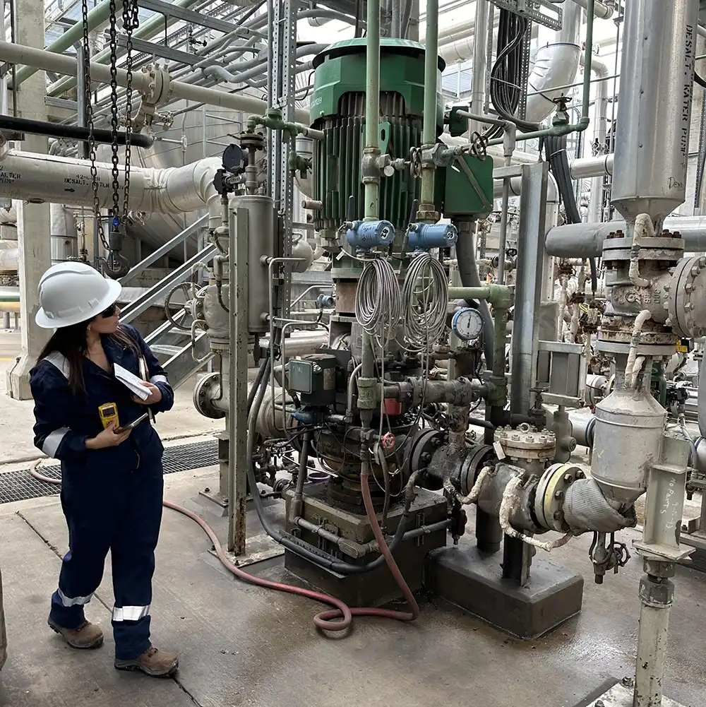 Engineer Performing a Field Walk