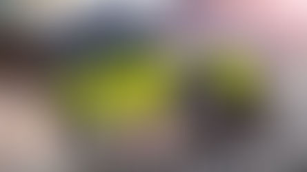 Apocalypse Now: Mercedes' insane G550 4x4² is coming to America in 2017