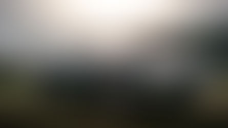 Classic Cars Are a Far Better Investment Than Hedge Funds