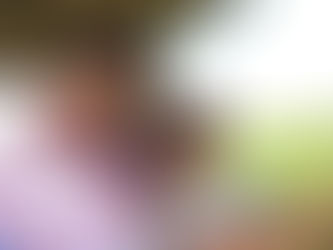 Focus Persevere and Dream Global