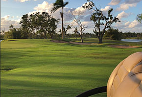 How Successful People Work Less and Get More Done