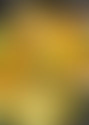 Thai Seafood Boil Extravaganza: Dive into Bold Flavours with Smackin' Seasoning