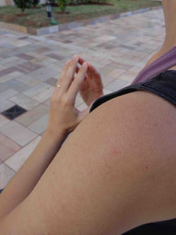 (Juliana Feriani)