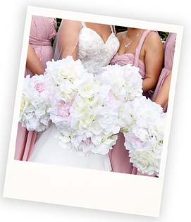 Untitled-1 copy_edited.png