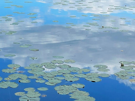 Onkijärven ja Havialan alueen historiaa - Tampellan maaomistus