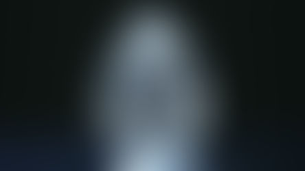 The Real Star of The Diamond Heist