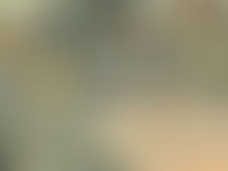 ACCIDENTE DE TRÁNSITO