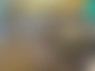 LA BRIGADA DE CABALLERÍA BLINDADA N.° 11 AYUDA EN LA LIMPIEZA DEL PARQUE ACUÁTICO LOS ELENES