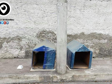 CASITAS DE CARTÓN PARA PERRITOS SIN HOGAR