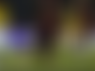 DURA CAÍDA DE LA TRI EN VENEZUELA