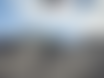 BOMBEROS RIOBAMBA ATENDIERON EMERGENCIA POR CAÍDA DE UN ÁRBOL