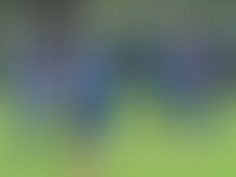 Olmedo inició sus trabajos