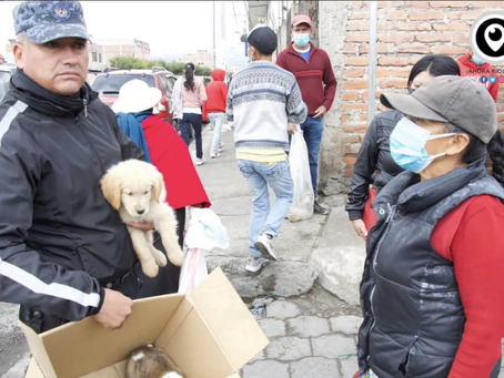 CONTROL DE FAUNA URBANA