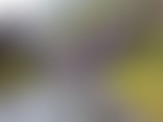 Cahuají - Pillate - Cotaló VÍA CERRADA