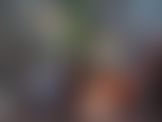 PLAN VIDA PARA RIOBAMBA CAMBIA LA IMAGEN DEL CENTRO HISTÓRICO