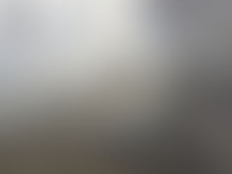 INCENDIO FORESTAL DE MAGNITUD SE REGISTRÓ EN GALLO RUMI