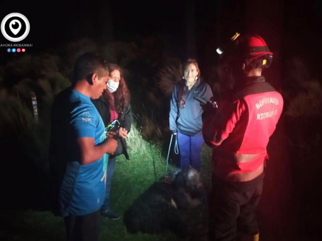 BOMBEROS RIOBAMBA RESCATARON A UNA MASCOTA QUE CAYÓ A UNA QUEBRADA