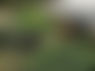 ACCIDENTE EN EL PUENTE CHIBUNGA VÍA A MACAS