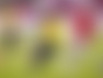 ECUADOR EMPATÓ FRENTE A CHILE EN QUITO