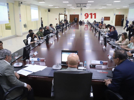 RESOLUCIONES COE NACIONAL