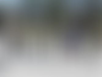 BRIGADA DE CABALLERÍA BLINDADA N.° 11 GALÁPAGOS REALIZÓ LA CEREMONIA MILITAREL DEL CAMBIO DE MANDO