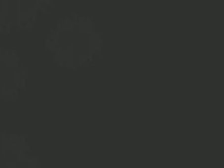 SEGUNDO CONGRESO INTERNACIONAL MULTIDISCIPLINARIO DE COVID19