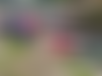 VARIOS HERIDOS EN ACCIDENTE DE TRÁNSITO