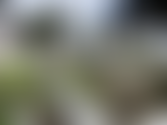 CEMENTERIO MUNICIPAL REALIZA TRABAJOS DE ADECENTAMIENTO Y MANTENIMIENTO DE BÓVEDAS