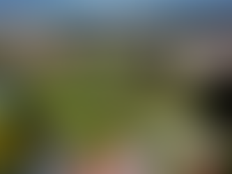 BIOBOSQUES PARA LOS VECINOS DE RIOBAMBA