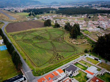 BIOBOSQUES PARA LOS VECINOS DE RIOBAMBA