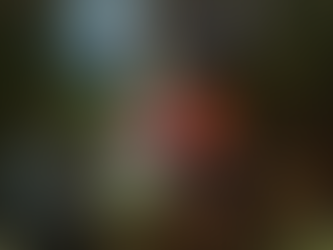 21 EMERGENCIAS FUERON ATENDIDAS POR BOMBEROS RIOBAMBA