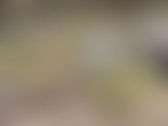 ACTUALIZACIÓN SINIESTRO DE TRÁNSITO EN ALAUSÍ