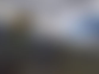 BOMBEROS RIOBAMBA ATENDIÓ INCENDIO FORESTAL