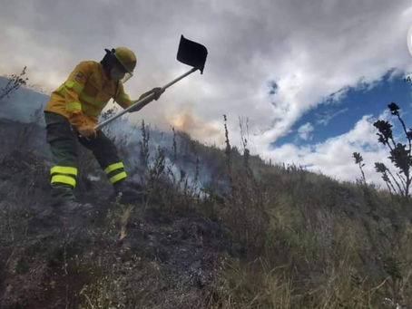 BOMBEROS RIOBAMBA ATENDIÓ INCENDIO FORESTAL