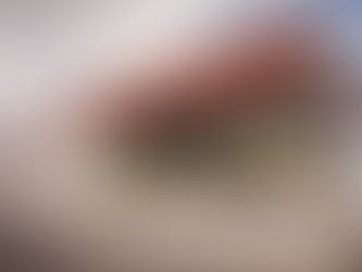 LA PRIMERA ESTACIÓN ESPECIALIZADA EN INCENDIOS FORESTALES ESTA PRÓXIMA A INAUGURARSE