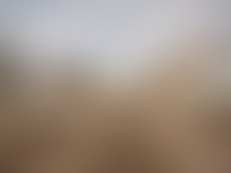 CONTINÚA CONSTRUCCIÓN DE LA NUEVA AV. MONSEÑOR LEONIDAS PROAÑO EN EL NORTE DE LA CIUDAD