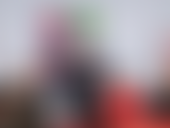 ENCUENTRO DEL COMITÉ TÉCNICO DE LAS BRIGADAS DE REFUERZO DE INCENDIOS FORESTALES (BRIF)